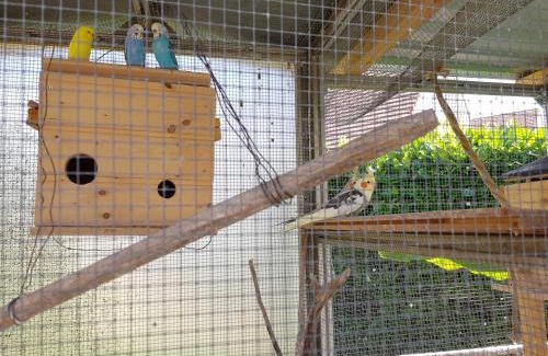 Rust Apartment | Cozy Gästehaus Schwien: Pet & Child Friendly Retreat