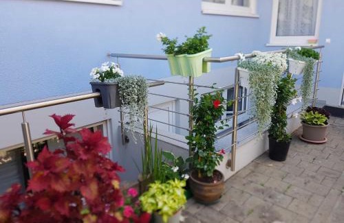 Rust Apartment | Cozy Gästehaus Schwien: Pet & Child Friendly Retreat