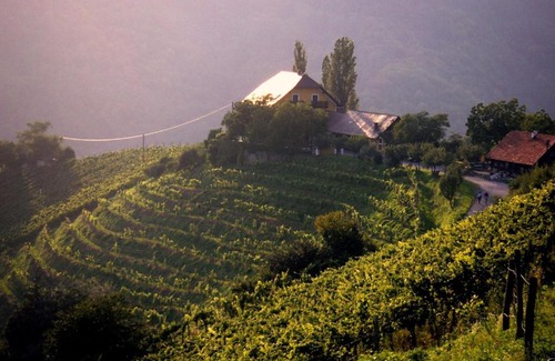Kitzeck im Sausal Bed & Breakfast | Pet-Friendly Gästehaus-Temmel-Kitzeck with Kitchen Access