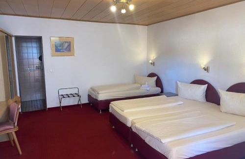 Ruedesheim am Rhein House | Gästehaus Vis-A-Vis: Family-Friendly Retreat with Hot Tub