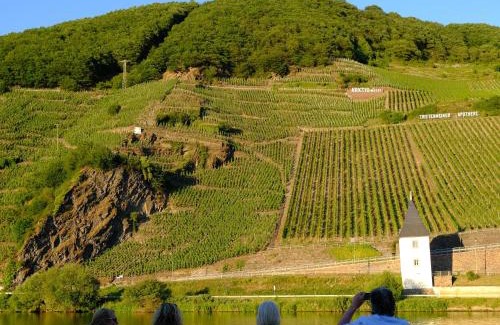 Trittenheim House | Pet-Friendly Gästehaus & Weingut Clüsserath-Weiler Stays