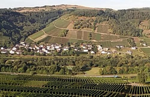 Schleich House | Relax at Gästehaus-Weingut Michael Scholer - Rated 9.1/10