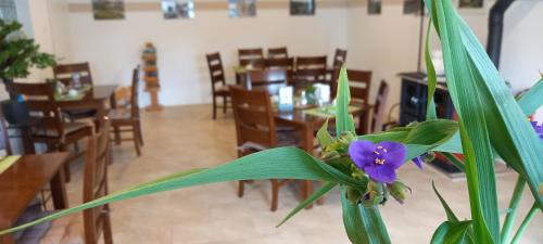 Eisenach House | Guest Rated: Gästehaus Wohngut Eisenach with Kitchen & Dining