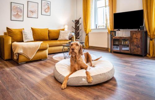 Regis-Breitingen Apartment | Gästewohnung Auszeit