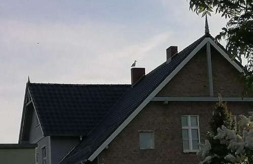Ueckermuende Apartment | Family-Friendly Gästewohnung Schwanenteich - 9.4/10 Rating