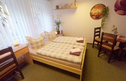 Meissen Apartment | Comfortable Gästezimmer Am Gewölbekeller - Pet & Child Friendly