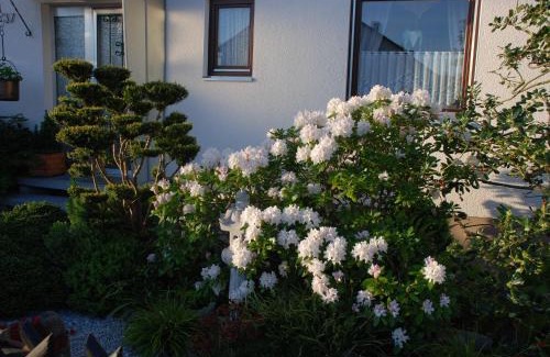 Sudstadt House | Outstanding Gästezimmer Anita with Breakfast Included