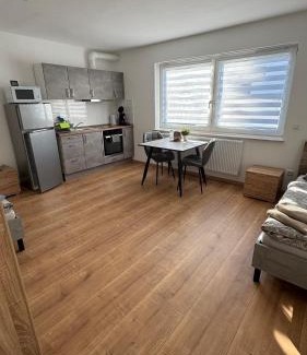 Senden Apartment | Gästezimmer Fateev 4