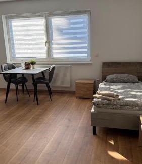 Senden Apartment | Gästezimmer Fateev 4