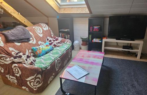 Unterallgau Apartment | Cozy Altbau Dachgeschoss Room with Wi-Fi and TV