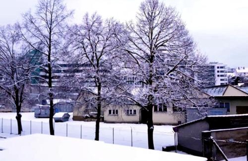 Loerrach House | Cozy Gästezimmer Sakowski with Kitchen Amenities for You