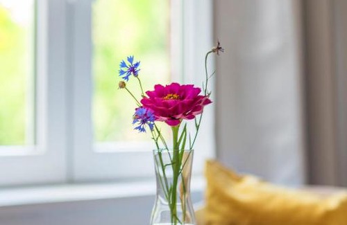 Sankt Dionys House | Pet-Friendly Gästezimmer St. Dionys with Amazing 10/10 Rating