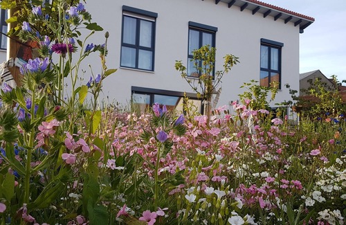 Bad Urach Apartment | Relaxing Oceanfront Retreat with Breakfast & Kids’ Area