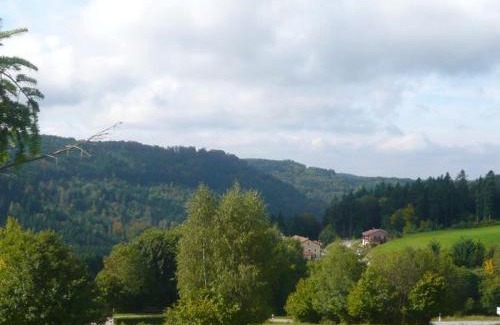 Le Tholy House | Cozy Gîte Montagne with Lake View and Garden Retreat