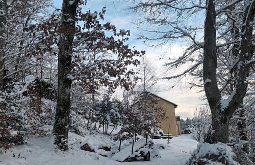 Le Tholy House | Cozy Gîte Montagne with Lake View and Garden Retreat