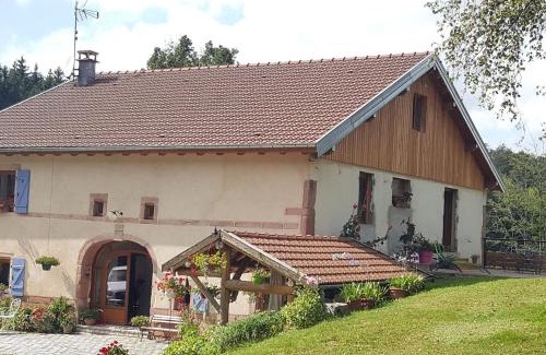 Le Tholy Apartment | Elegant Gîte in Nature with Terrace & Child-Friendly Amenities