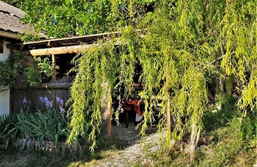 Lurs Apartment | Budget-Friendly Gîte 1 Ferme Equestre Les Coccinelles
