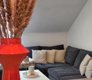 Noiseux Apartment | Gîte 4 personnes avec vue proche de Durbuy - La Roche en Ardennes - Han sur Lesse - Terrasses - Parking gratuit - Grand jardin