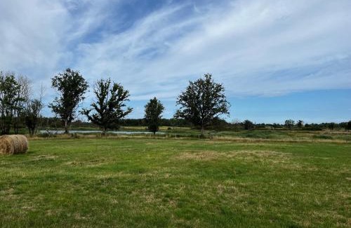 Migne House | Idyllic Gîte in Brenne with Terrace and Wildlife Views