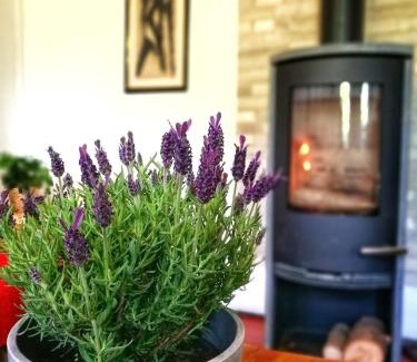 Aiguevive House | Child-Friendly Retreat at Gîte d'Aigues Vives, Rated 8.6