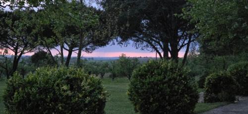 La Romieu Bed & Breakfast | Gîte de Beausoleil: Oceanfront Retreat with Great Amenities