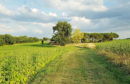 Cuq House | Charming Gîte de campagne L'Estressol - Guest Rated 9.4/10