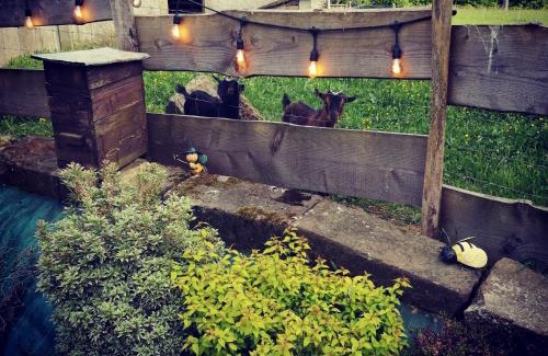 Plombieres-les-Bains House | Family-Friendly Retreat at Gîte de Volette - Rated 9.8/10