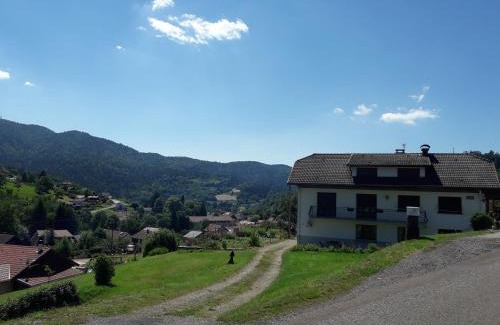 Saint-Maurice-sur-Moselle Apartment | Family Retreat in the Vosges with Pool and Ocean Views