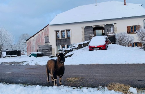 Bouclans Apartment | Inviting Gîte de l'Echappée Bêêêle: Family & Pet-Friendly Stay