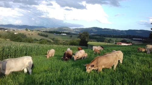 Haute-Rivoire House | Gîte de la Ferme des Bourettes