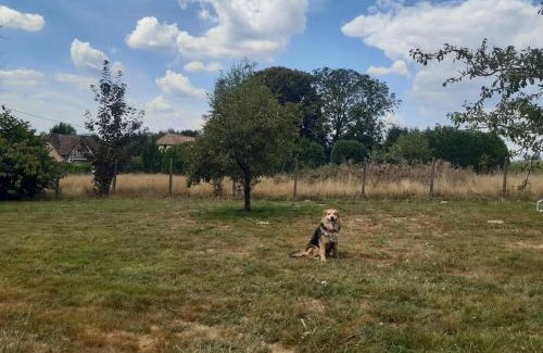 Grosne House | Pet-Friendly Gîte de la P'tite Rainette with High Guest Ratings