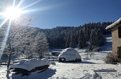 Le Valtin Apartment | Discover Gîte de la Petite Meurthe Brimbelle - Rated 9.2/10