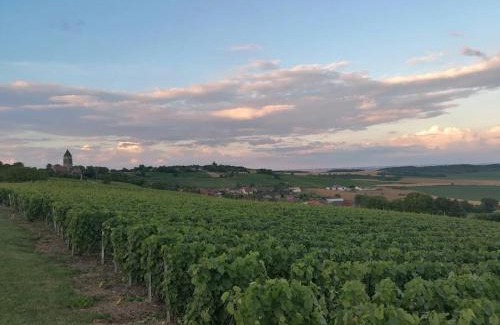 Allemant House | Cozy Gîte de la Traverse: Perfect for Families & Pets