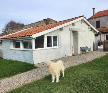 Saint-Vivien-de-Medoc House | Pet-Friendly Retreat at Gîte des Pins - Guest Rated 9.4/10