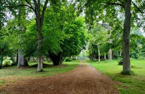 Lectoure House | Pet-Friendly Retreat at Gîte du Château de Tulle