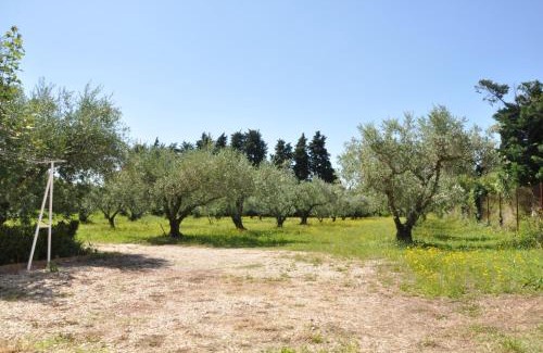 Saint Pierre de Mezoargues House | Explore Gîte Du Mas Des Oliviers: Rated 9.5/10 & Pet Friendly