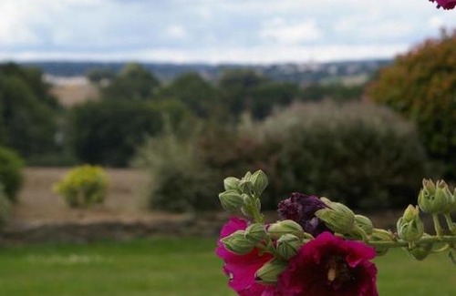 Cleguerec House | Explore Gîte Ginou Daniel Lintevert: 4-Star Stay with Kitchen