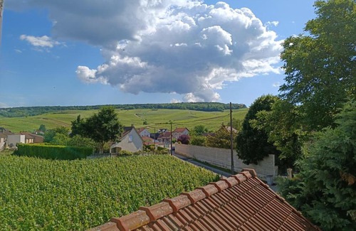 Dizy Apartment | Charming Gîte Diz'enreves Amidst Beautiful Vineyards
