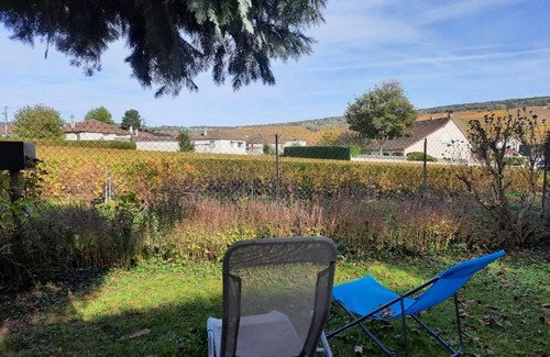 Dizy Apartment | Charming Gîte Diz'enreves Amidst Beautiful Vineyards