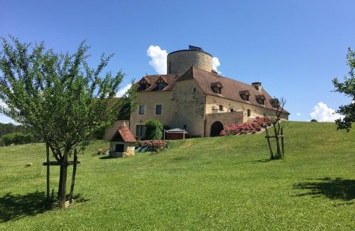 Les Arques House | Experience La Tour de Ginaillac: 4-Star Oasis with Spa & Pool