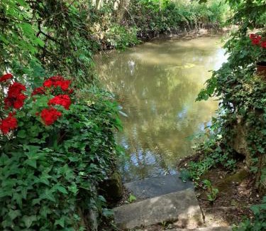 Beaulieu-les-Loches Apartment | Pet-Friendly Gîte "Rivière Peyrona" near Zoo Beauval