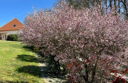 Coarraze Villa | Relaxing Retreat at Gîte Kojonomai Pyrénées with Spa Access
