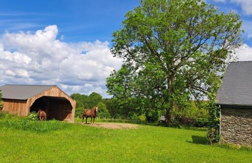 Engreux House | Inviting Gîte L'Olivier à Filly - Ideal for Families & Pets