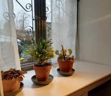 Saint-Aubin-d'Aubigne House | Top-Rated Gîte LA Maison LA: Family-Friendly Retreat