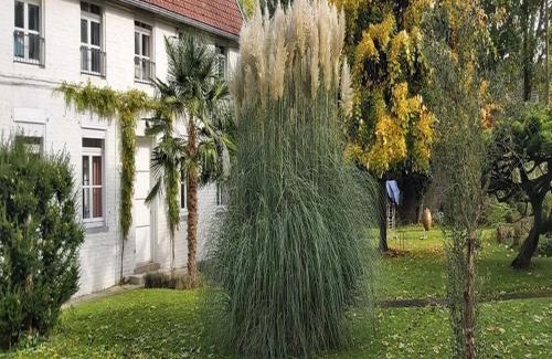 Wargnies-le-Grand House | Experience Gîte La Riviera: Family-Friendly & Highly Rated