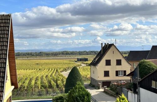 Bennwihr Apartment | Discover Gîte Manala: Family-Friendly Retreat with High Ratings