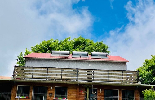 La Plaine des Cafres Cottage | Gîte Le Prunier - Hydrangea