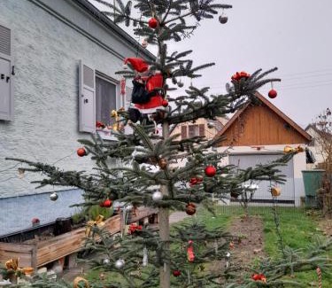 Kaysersberg-Vignoble Apartment | Pet-Friendly Retreat at Gîte les chiwawas d'Alsace