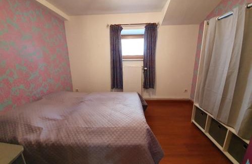 Ventron Apartment | Gîte Lilas: Loft with Game Room and Spa for Up to 8 Guests
