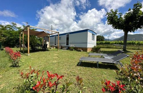 Saint-Pantaleon-les-Vignes House | Gîte Mobil-home with Breakfast & Pool in Drôme Provençale